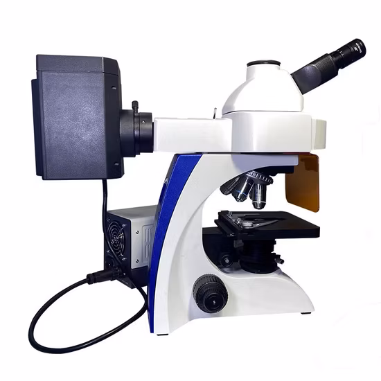 Biological Inverted Microscope for Life Science Research
